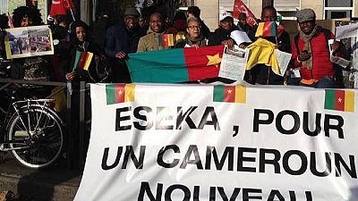 Crise anglophone au Cameroun : marche de la diaspora pour un dialogue national