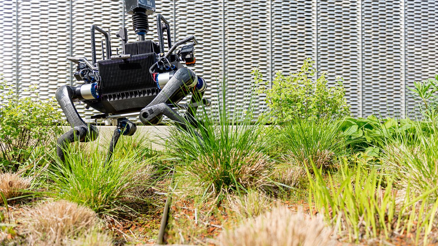 Image: The ANYmal delivery robot.
