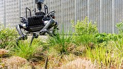 Image: The ANYmal delivery robot.