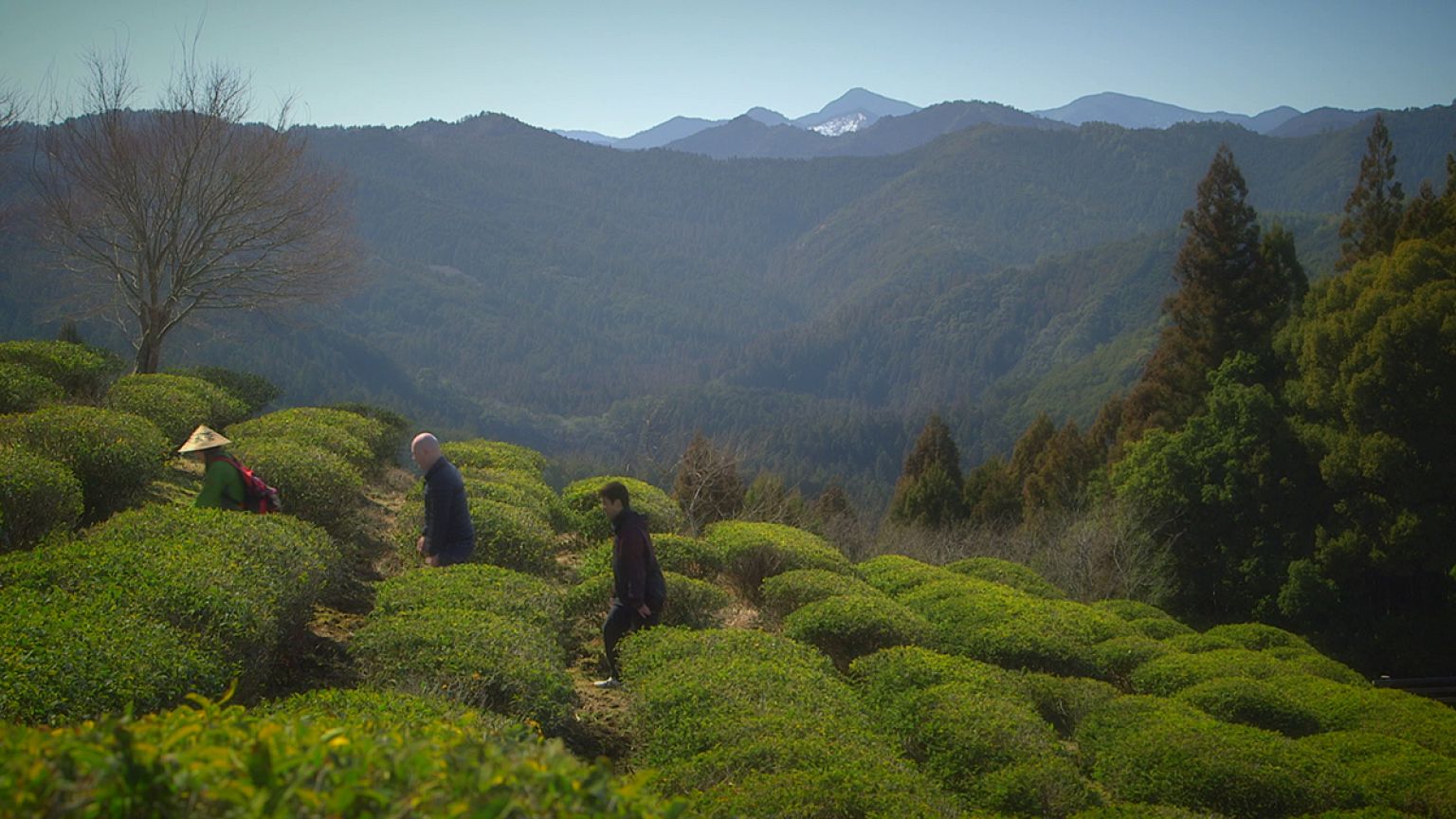 Os caminhos de Kumano