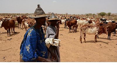 Mali : 20 morts dans des affrontements entre Peuls et Bambaras