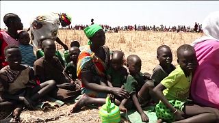 Güney Sudan'da kıtlıktan kaçan binlerce kişi komşu ülkelere sığınıyor