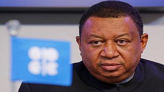 Nigeria's worse days due to oil price slump are over – OPEC General-Secretary
