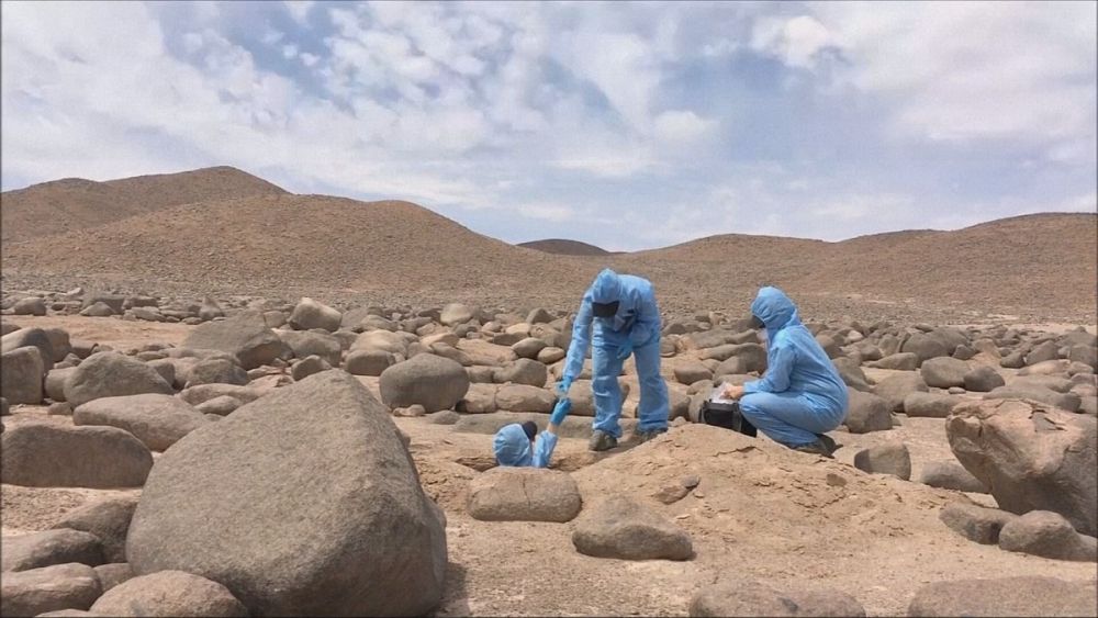 Atacama Desert Could Hold Secrets Of Life On Mars | Euronews