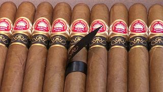 Zigarren machen Dampf für Kubas Wirtschaft