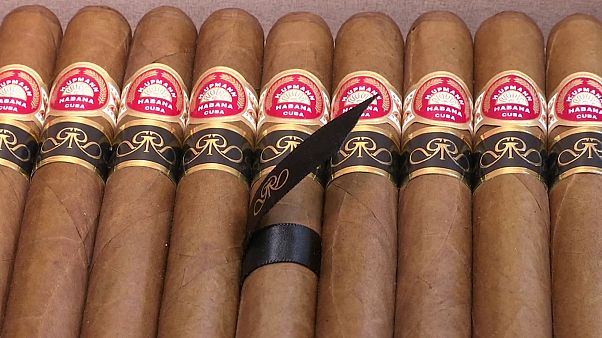 Les ventes de cigares cubains en hausse de 5 % Les ventes de cigares cubains en hausse de 5 %