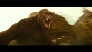 Kong, a gorilla nem rajong a hívatlan vendégekért