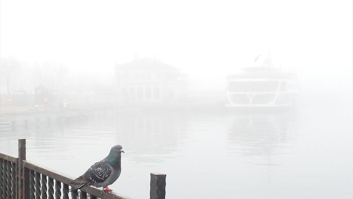 Плотный туман накрыл Босфор