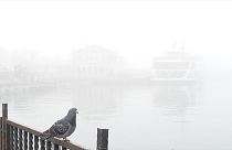 Dichter Nebel sorgt für Chaos in Istanbul
