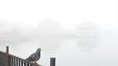 Dichter Nebel sorgt für Chaos in Istanbul