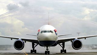 Mouse grounds plane costing British Airways 290,000 euros