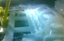 Image: Cotton seed sprout Chang'e-4 moon probe