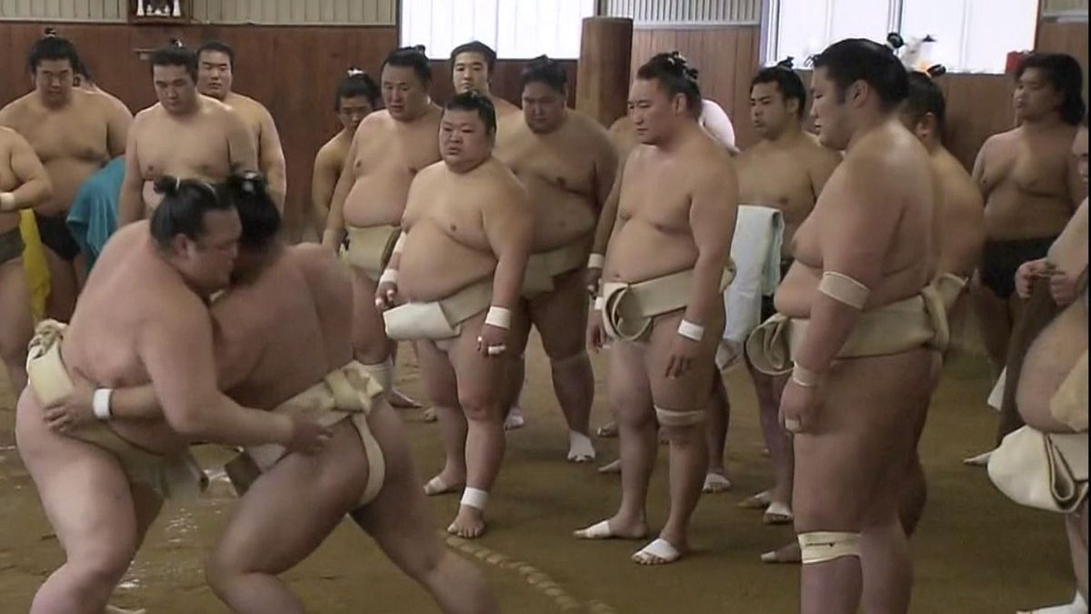 Japão: Campeão de Sumo prepara defesa do título