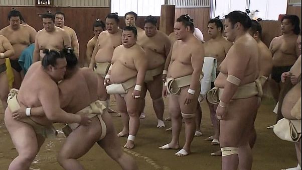 Japão: Campeão de Sumo prepara defesa do título Japão: Campeão de Sumo prepara defesa do título
