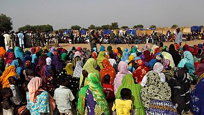 Niger : plus d'une centaine de combattants de Boko Haram se rendent. Photo