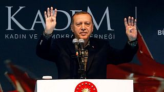 Эрдоган обвинил Германию в "нацизме" за запрет митингов в его поддержку