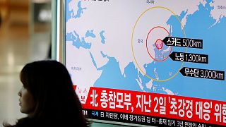 North Korea test fires four more missiles