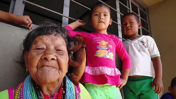 Colombia: los acuerdos de paz no alivian la situación de los desplazados Colombia: los acuerdos de paz no alivian la situación de los desplazados