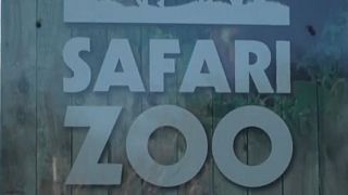 UK zoo boss loses licence after 500 animal deaths