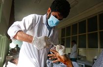 Afghanistan, attacco all'ospedale militare: sale il numero delle vittime