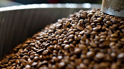 Kenya to double coffee shipment to the U.S
