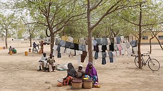 Cameroun - Boko Haram : financement de 6,21 millions de dollars du Japon