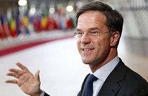 Dutch election: Mark Rutte profile
