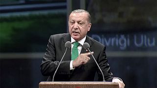 Turkey's Erdogan holds Dutch responsible for Srebrenica