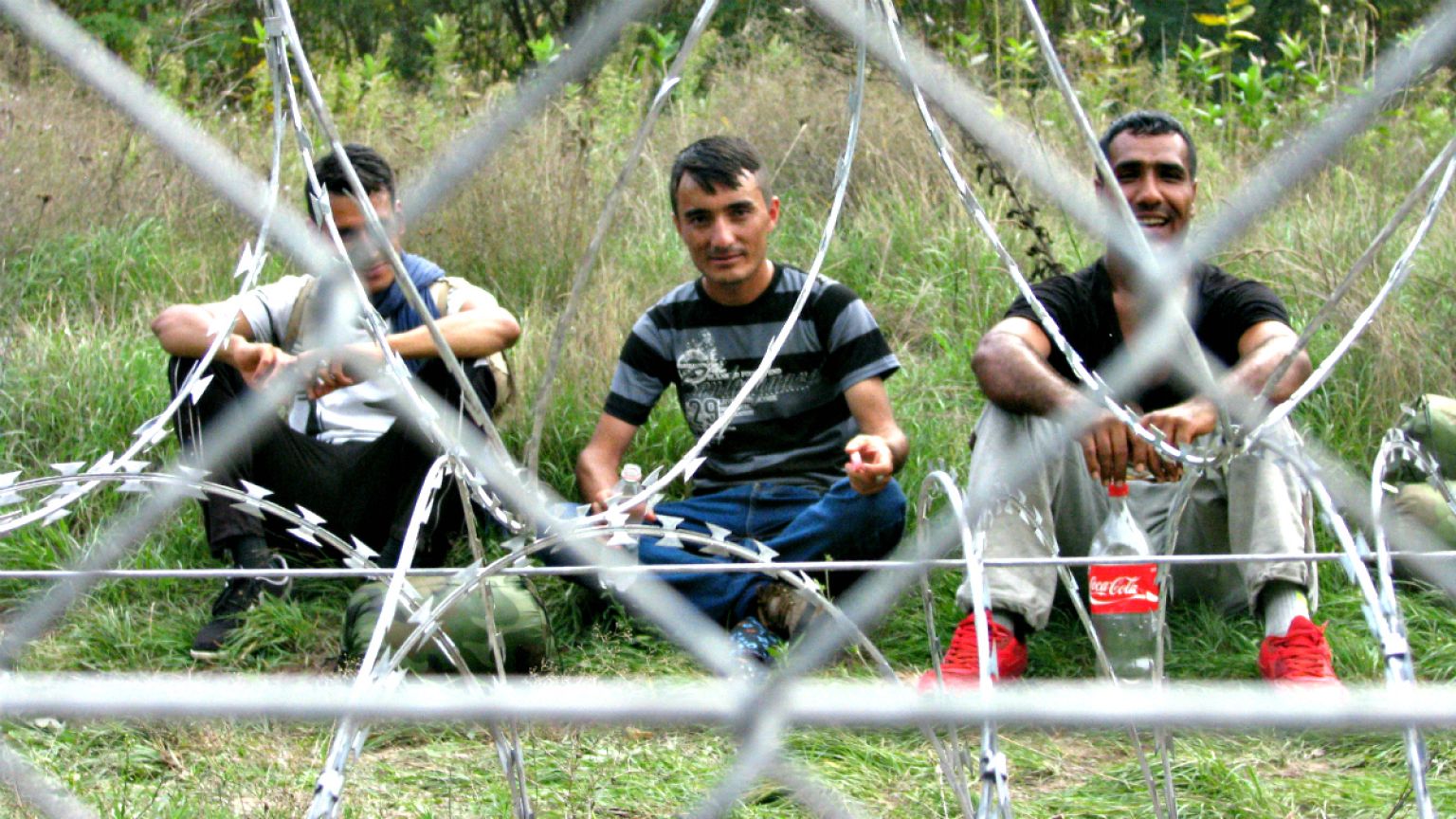 Nemzetközi kutatás a migránsokat érő és az általuk elkövetett bűncselekményekről
