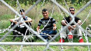 Nemzetközi kutatás a migránsokat érő és az általuk elkövetett bűncselekményekről