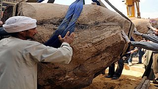 Egypt archaeological experts prepare to transport colossus of Ramses II