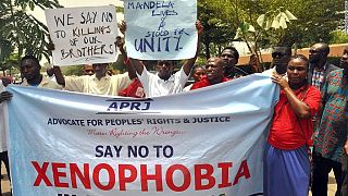 Xenophobic Attacks: Nigeria, South Africa agree terms