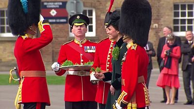 Príncipe William e a Duquesa de Cambridge festejam o "Saint Patrick's Day"