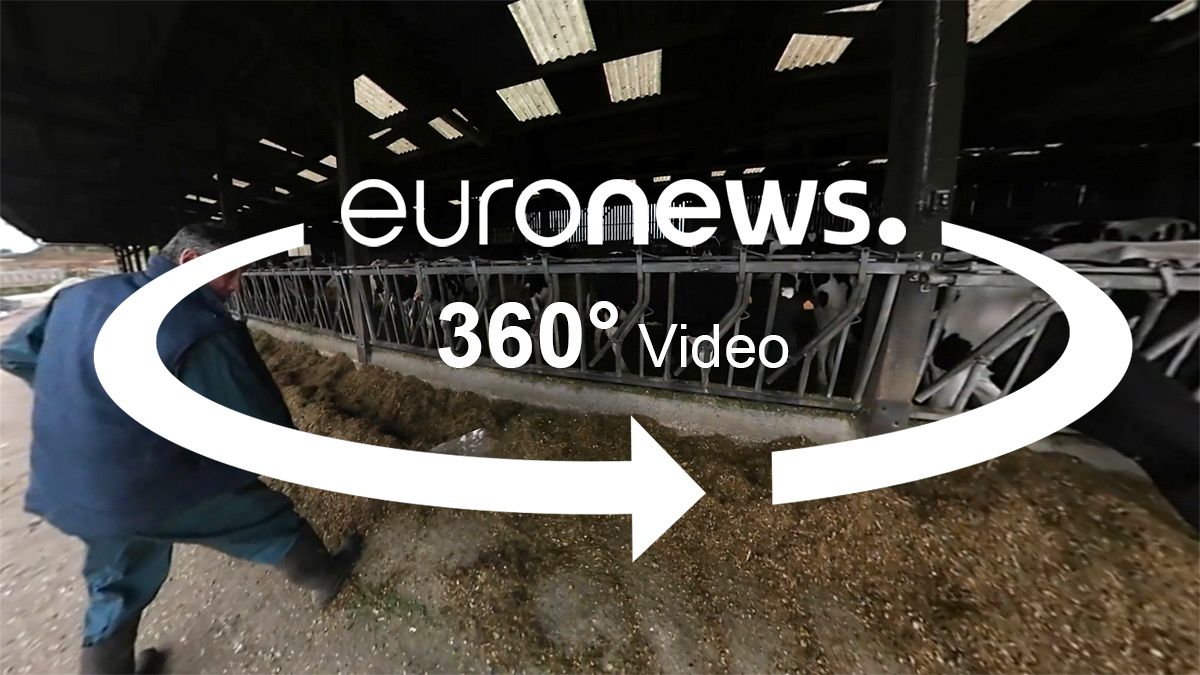 Видео 360°: французский фермер - о выборах