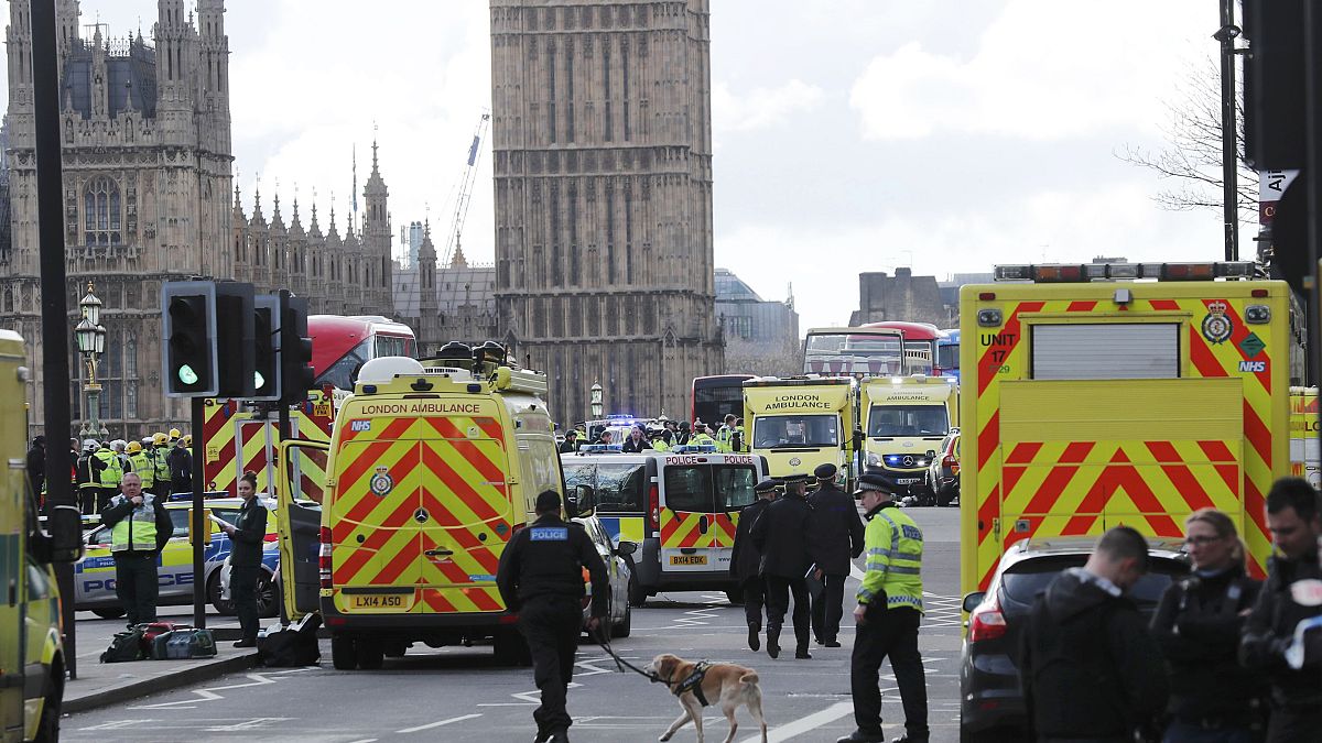 Car attacker mows down crowds and stabs policeman outside UK parliament