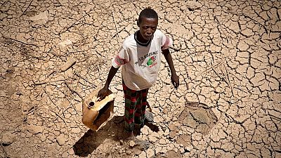 Tour d'horizon sur la crise alimentaire en Afrique de l'Est, la pire depuis 1945