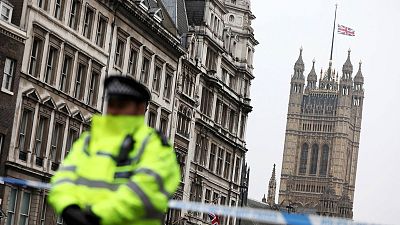 London terrorist "acted alone" as police arrest eight