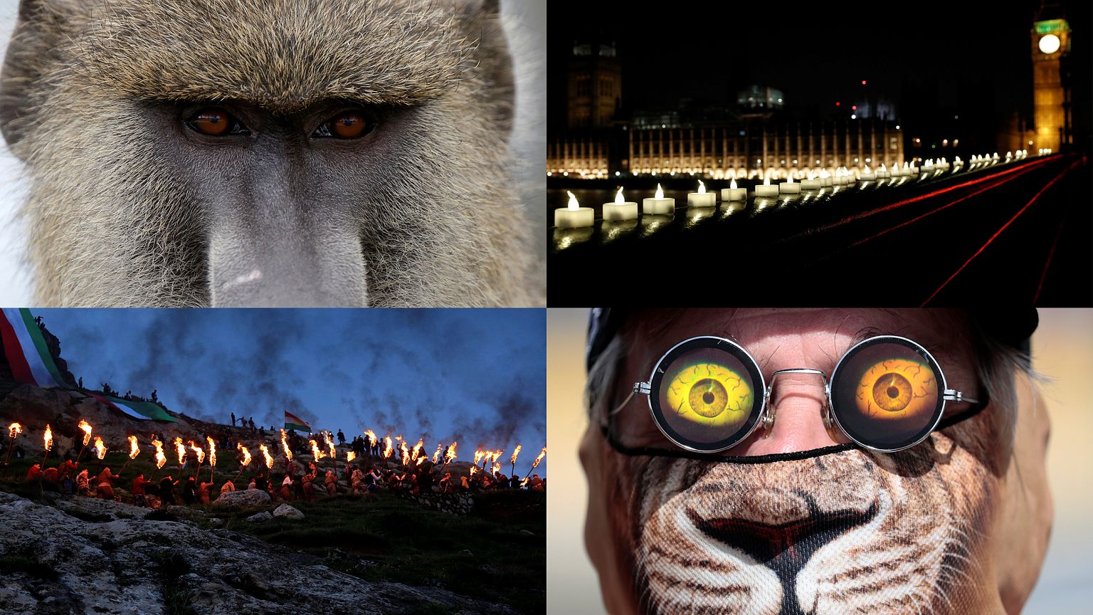 The week in Pictures