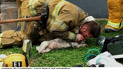 Hero firefighter saves pup with mouth-to-snout