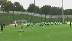 Dortmunder Guerreiro und Münchner Sanches spielen Portugals WM-Qualifikation