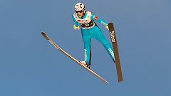 Deutsche Skiflieger landeten auf Platz zwei - Kamil Stoch mit Weitenrekord in Planica