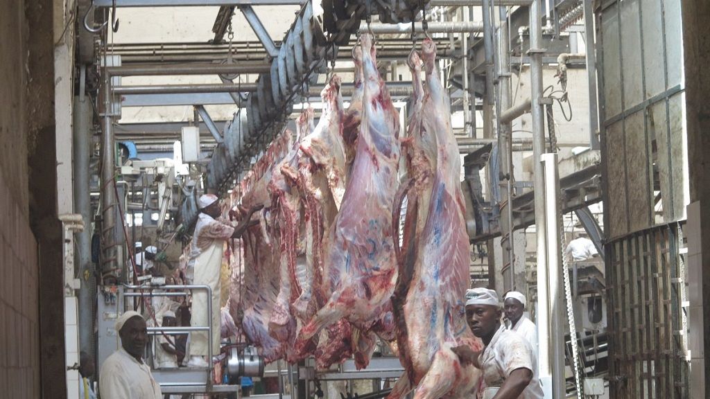 Ethiopia’s 75m Abattoir set to be operational next month Africanews