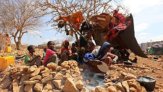 Finland allocates $20 million to famine-hit African countries