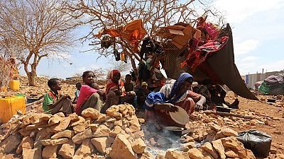 Finland allocates $20 million to famine-hit African countries