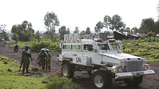 U.N. to conduct investigation into death of experts in DR Congo