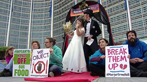 Bayer-Monsanto merger is 'marriage made in hell,' say activists
