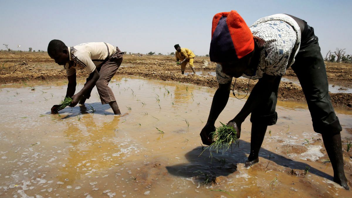 الأمم المتحدة: ملايين الأشخاص سيحرمون من المياه الصالحة للشرب في 2017