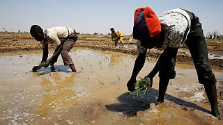 الأمم المتحدة: ملايين الأشخاص سيحرمون من المياه الصالحة للشرب في 2017