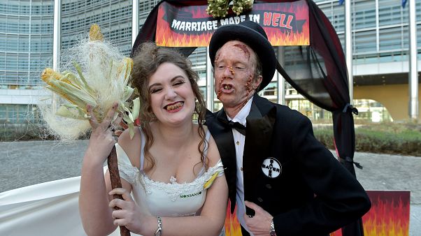 Bruxelles: proteste contro il matrimonia Bayer-Monsanto. Bruxelles: proteste contro il matrimonia Bayer-Monsanto.