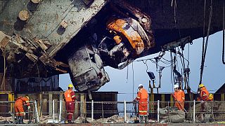 Sewol bone fragments "not from a victim"